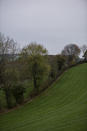 LLO_0096-2