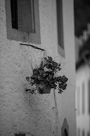 LLP_8569-2