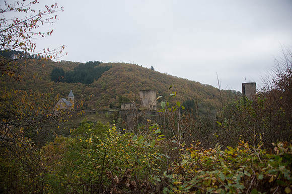 LLP_8705