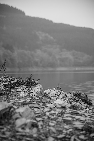 LLP_8480-2