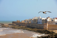 Morrocco 2009