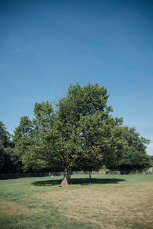 LLP_7585