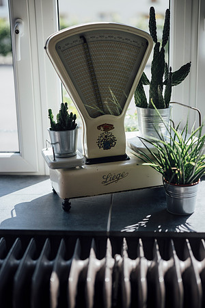 LLP_7370