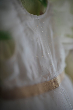 LLP_5431