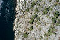 DJI_0778