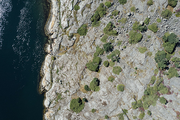 DJI_0778