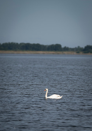 LLO_3042
