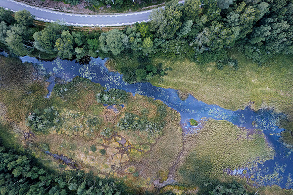 DJI_0559