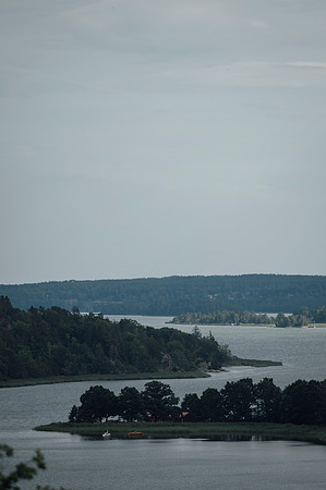 LLO_3368