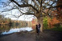 LLP_8477