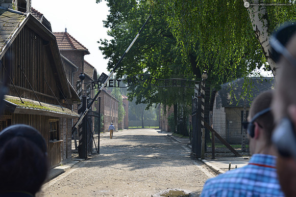 LLO_4358
