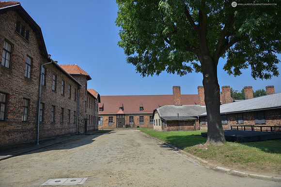 LLO_4382