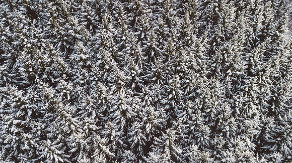 DJI_0136