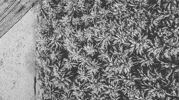 DJI_0128