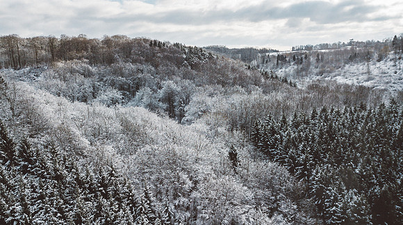 DJI_0132