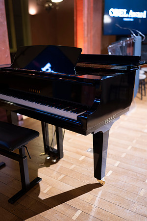 LLP_7457