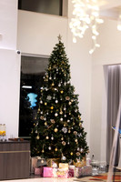 LLP_8689