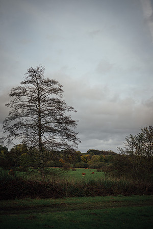 LLP_4469