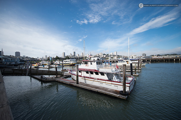LLP_3964