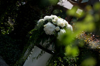 LLP_9052