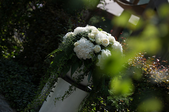 LLP_9052