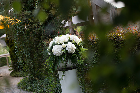 LLP_9831