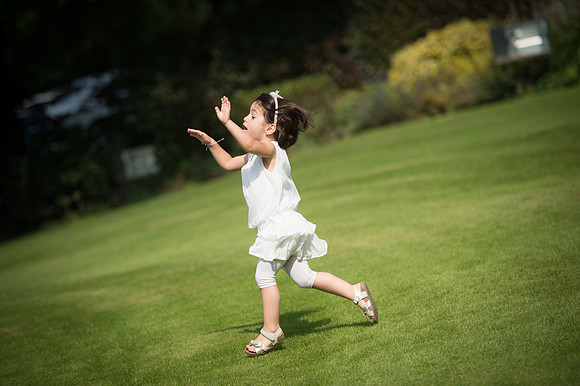 LLP_9087