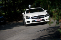 LLP_9055