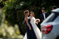 LLP_9061