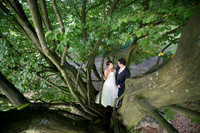 LLP_9622