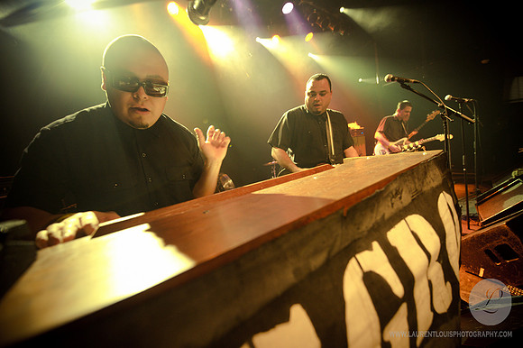 The Aggrolites