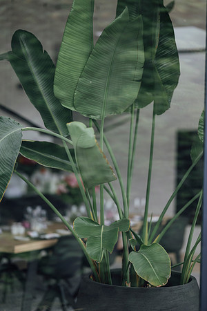 LLP_6131