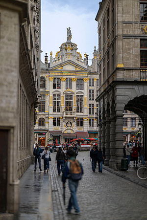 LLP_1483