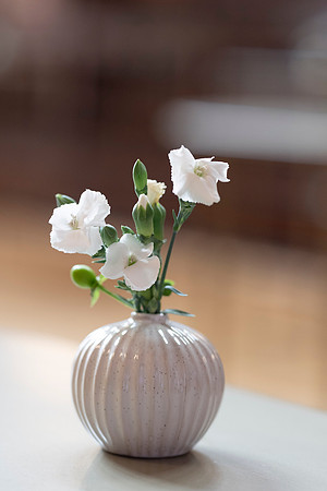 LLP_3566
