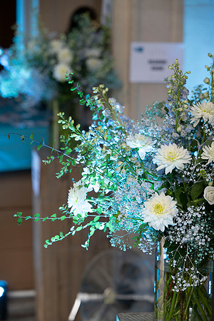 LLP_5594