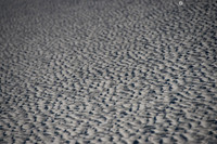 LLP_9765