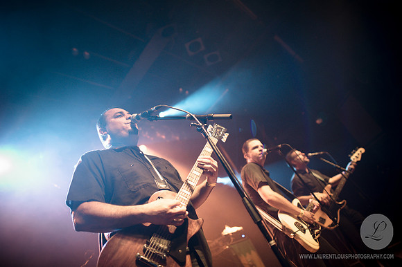 The Aggrolites
