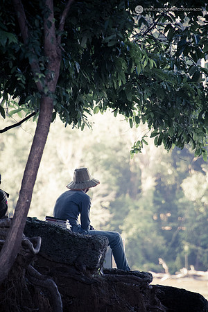 LLO_0440