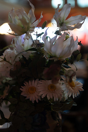 LLP_4858