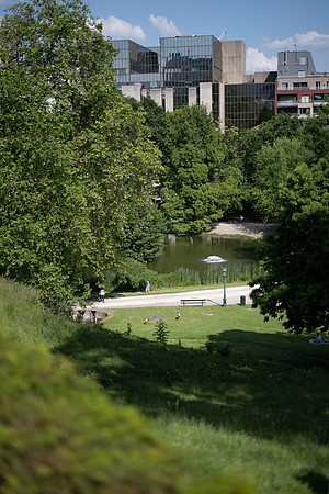 LLP_9803