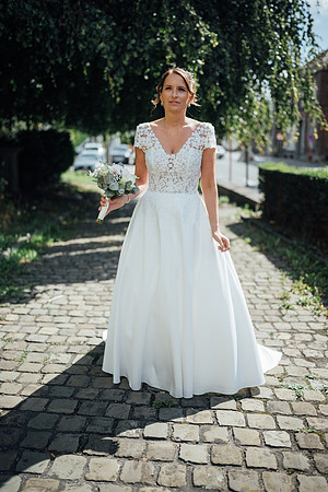 LLP_9506