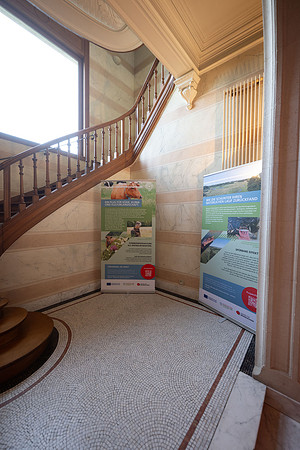 LLP_4771