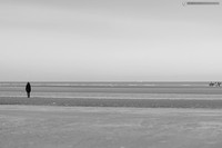 LLP_9640