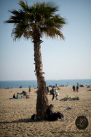 LLP_0308