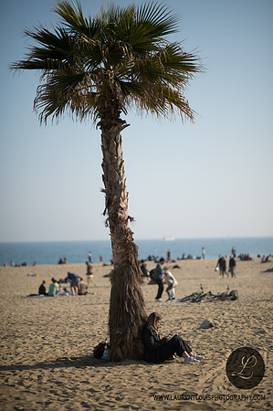 LLP_0308