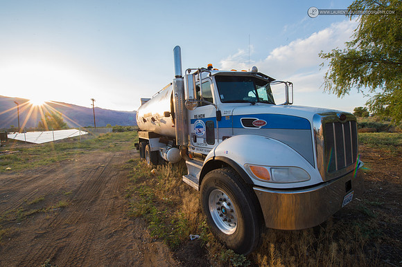LLP_5133