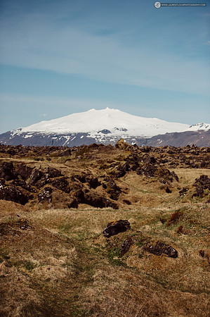 LLP_4474