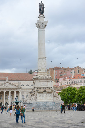 LLP_4254