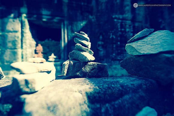 LLO_1378