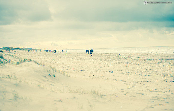 LLP_9278
